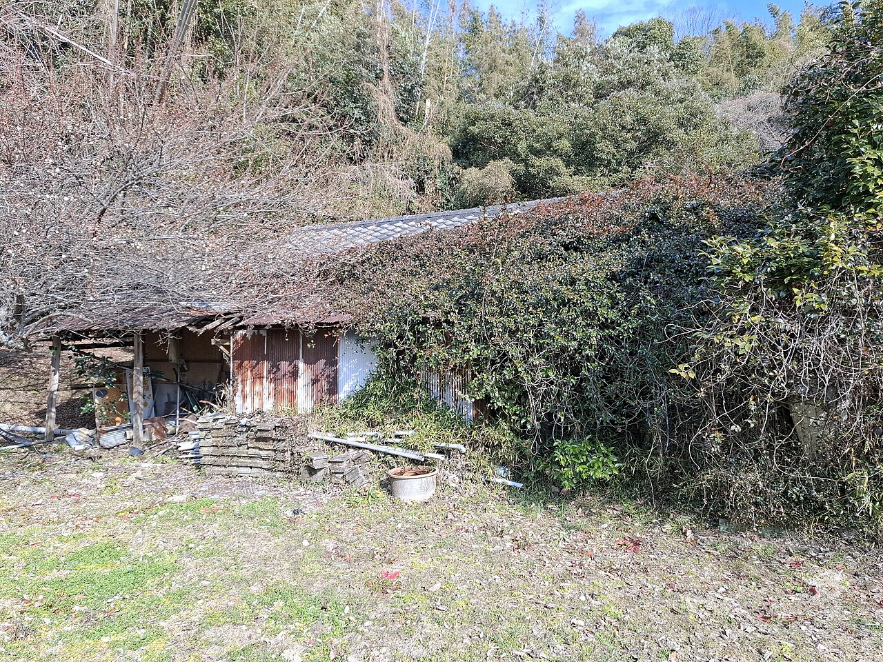 草木に覆われた空き家(イメージ)